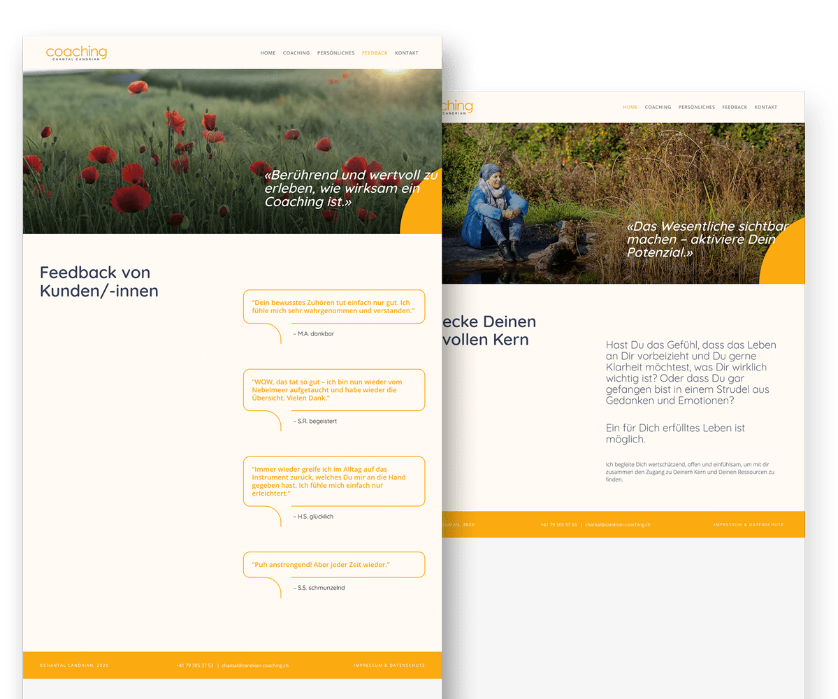 Template_Web-Showcase-candrian Template_Web-Showcase-carverup-min