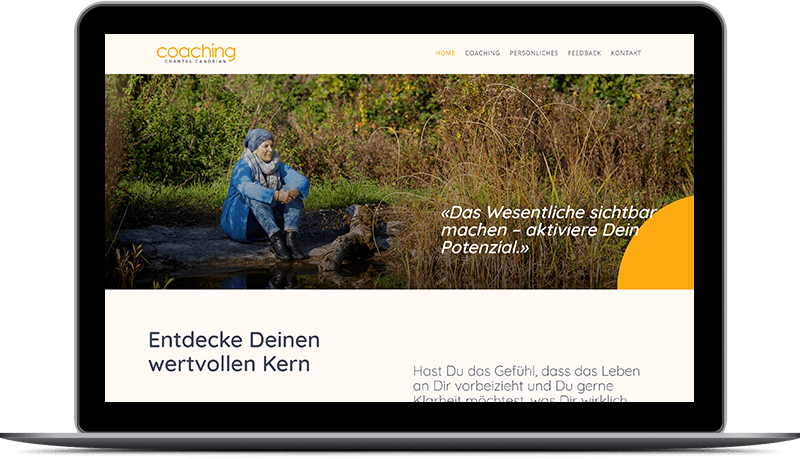 case-study-candrian case-study-carverup-min