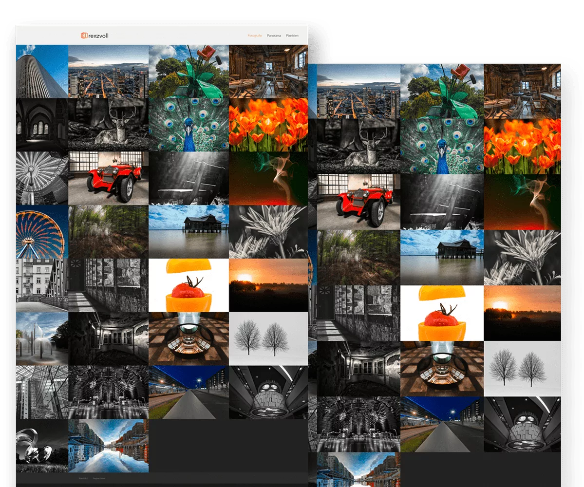 Template_Web-Showcase-reitzvoll-min