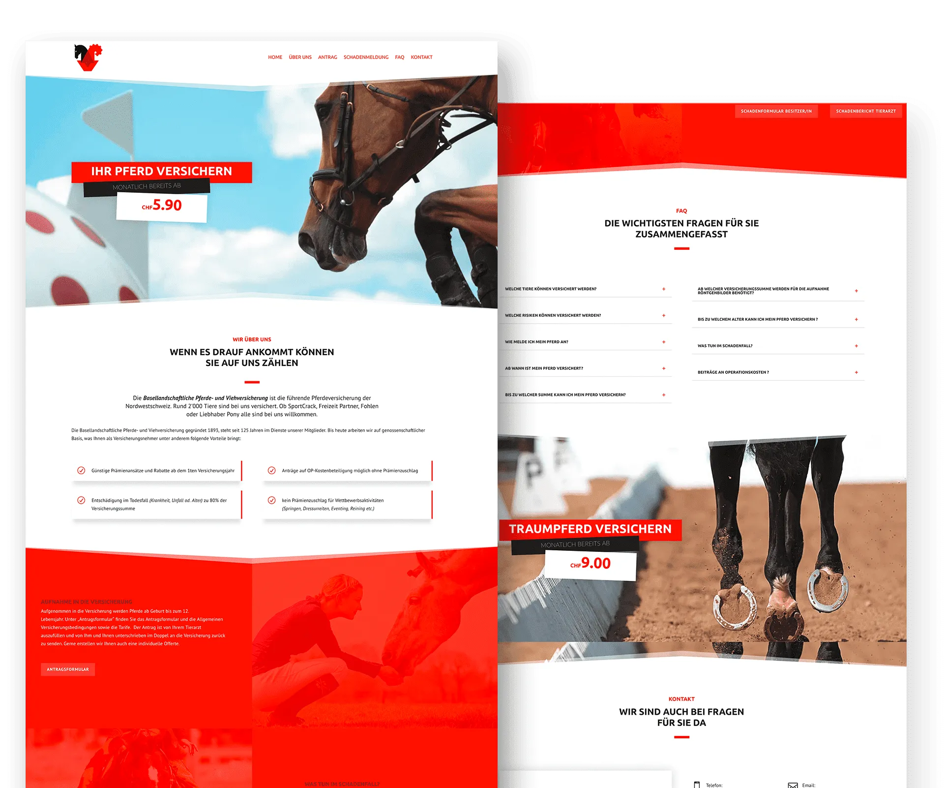 Template_Web-Showcase-blpv-min BLPV