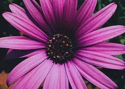 Praxis Nadine Schütz